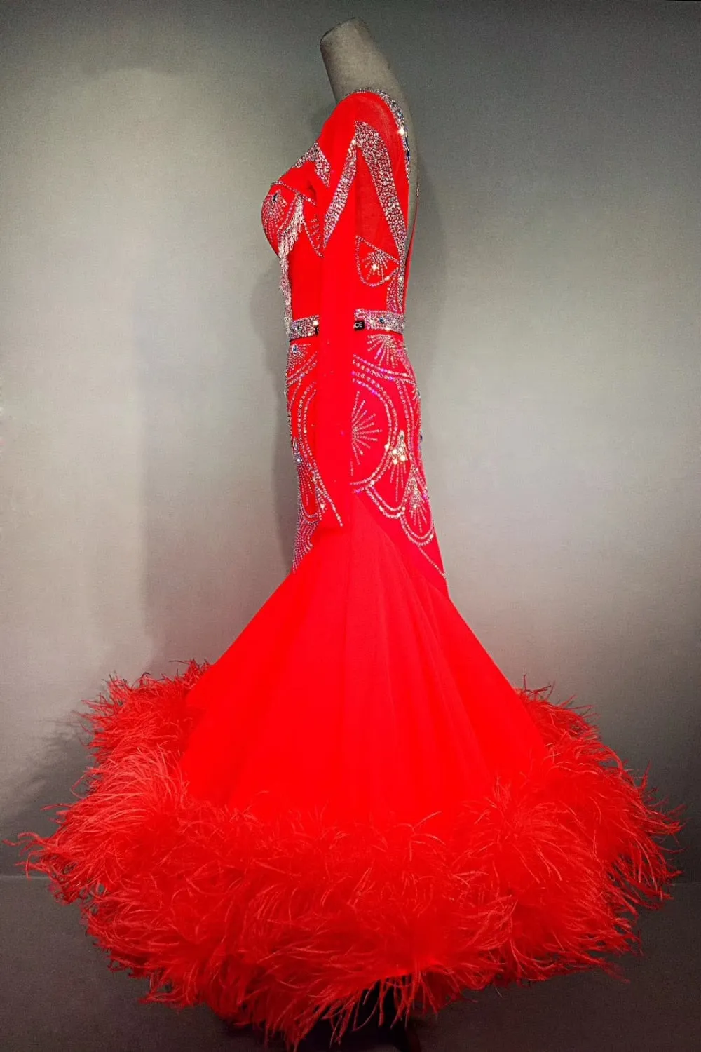 Bright Red Rhinestone & Feather International Standard Ballroom Dance Dress