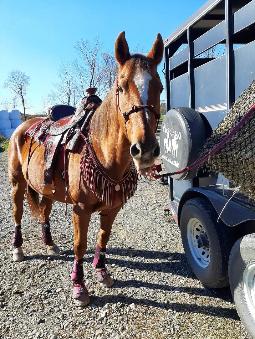 Burgundy Tack set