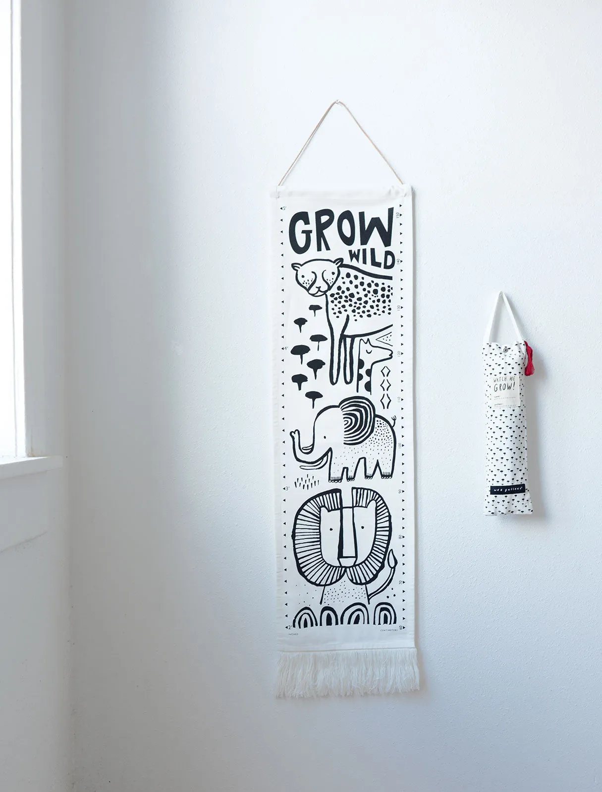 Canvas Growth Chart - Safari