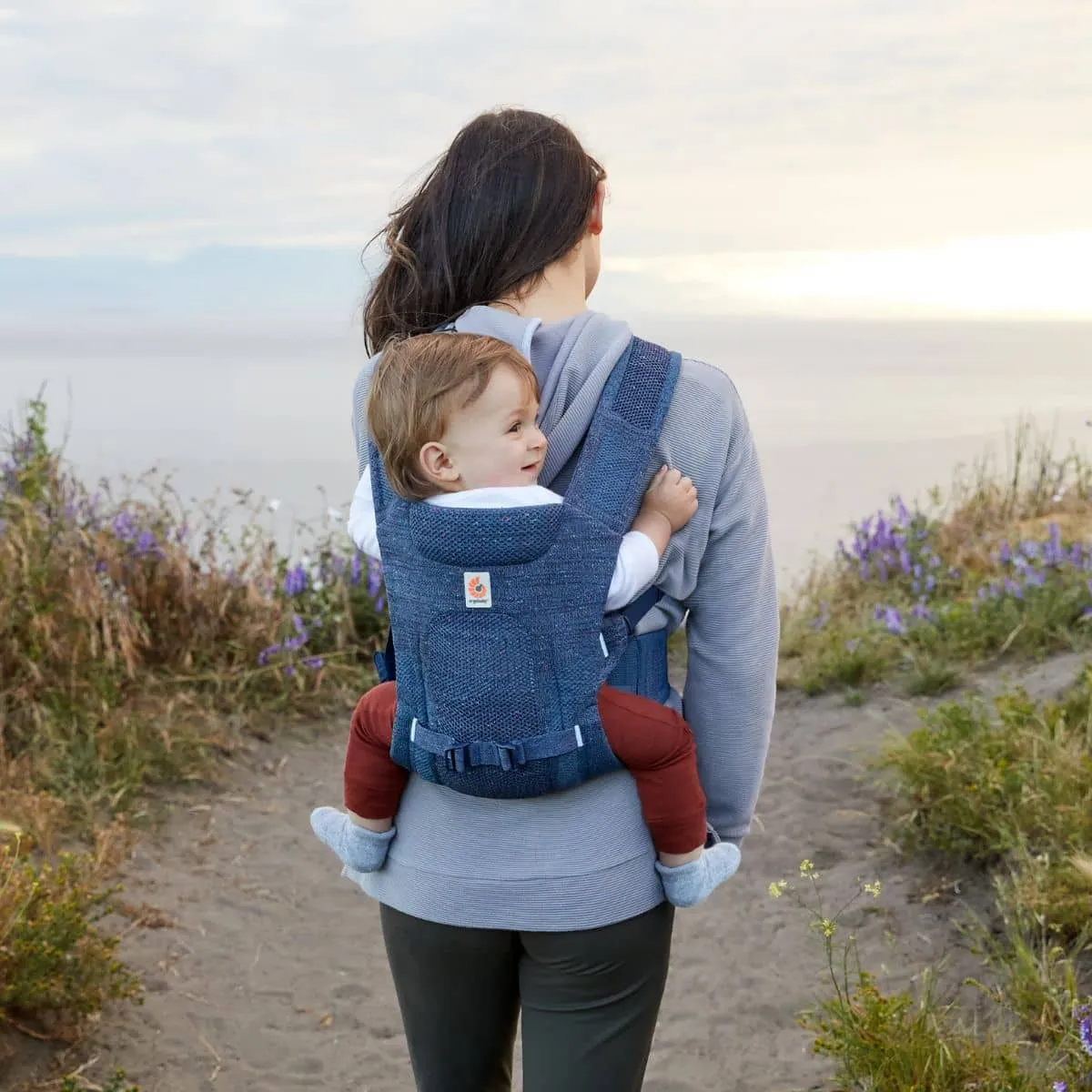 Ergobaby Aerloom Baby Carrier - Aurora