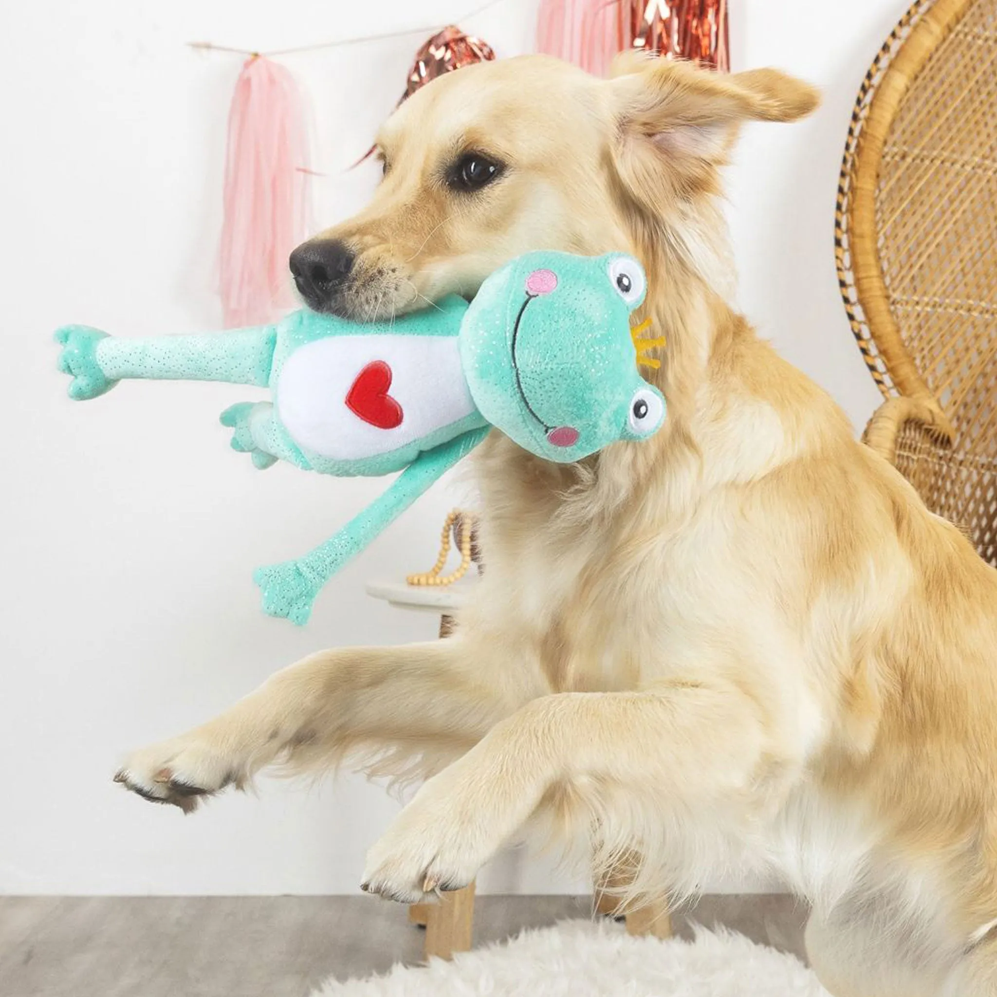 Fringe Prince Charming Dog Toy