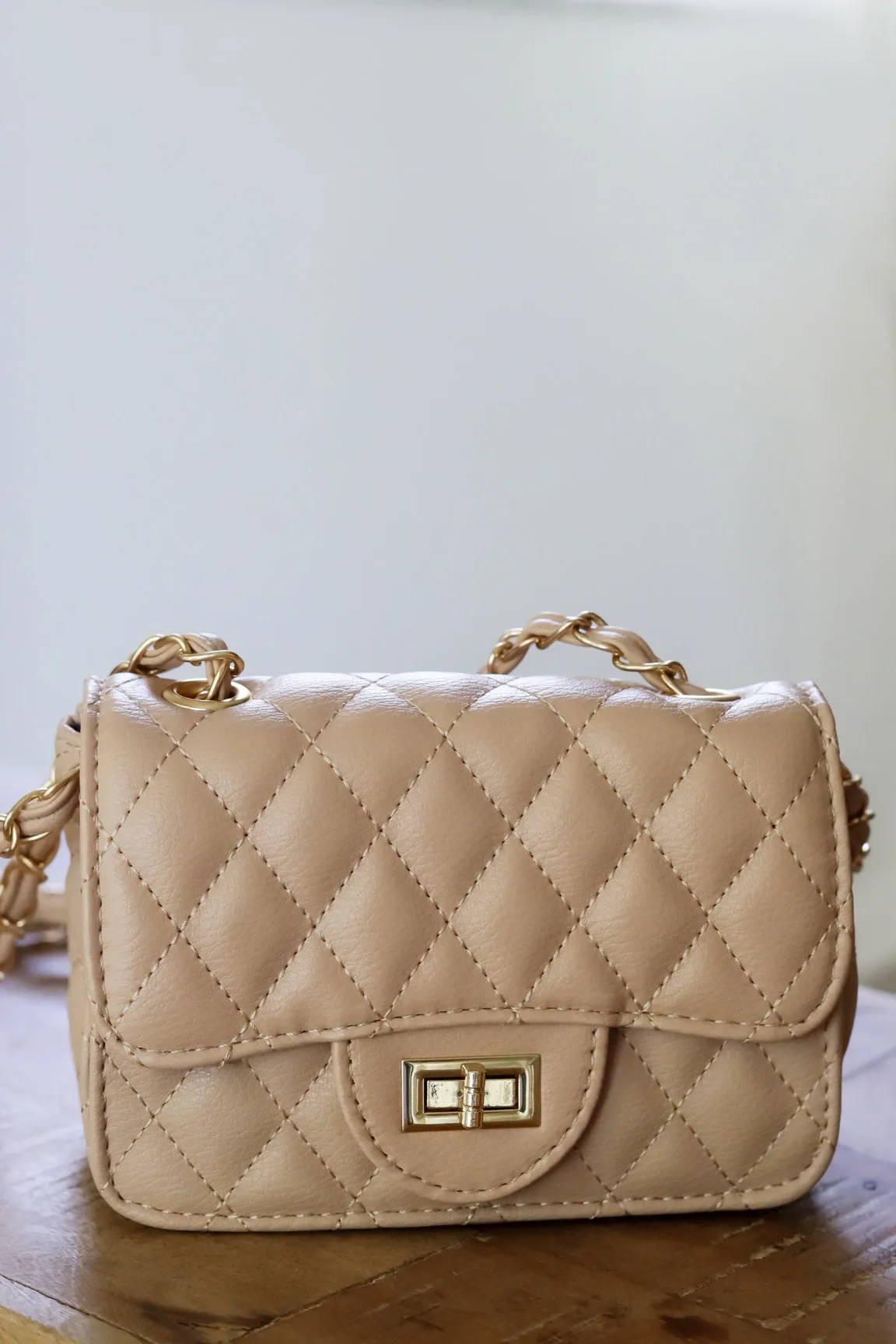 Hayden Quilted Mini Bag- 2 Colors