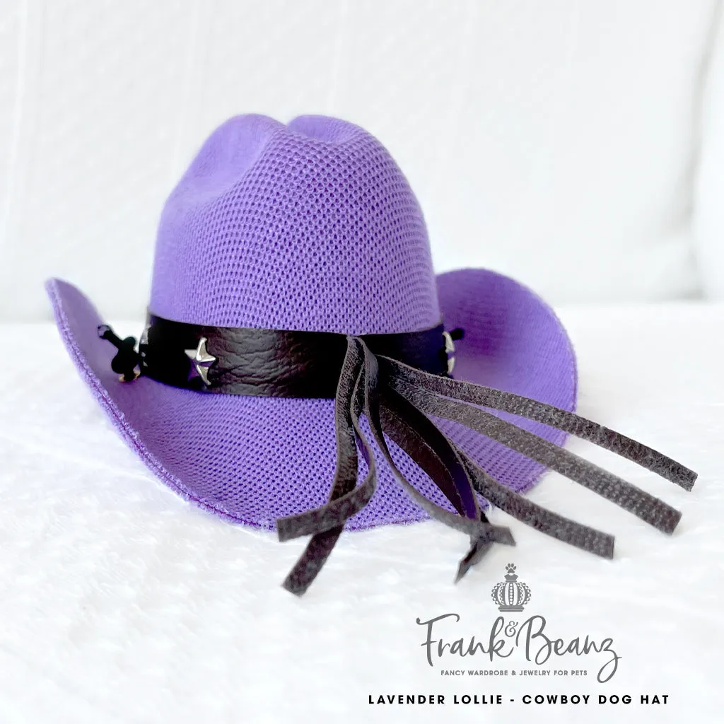 Lavender Lollie Cowboy Dog Hats for Small Medium Dogs Costumes for Pets