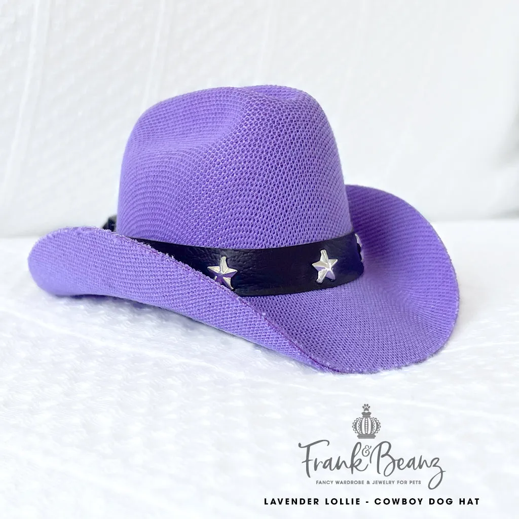 Lavender Lollie Cowboy Dog Hats for Small Medium Dogs Costumes for Pets