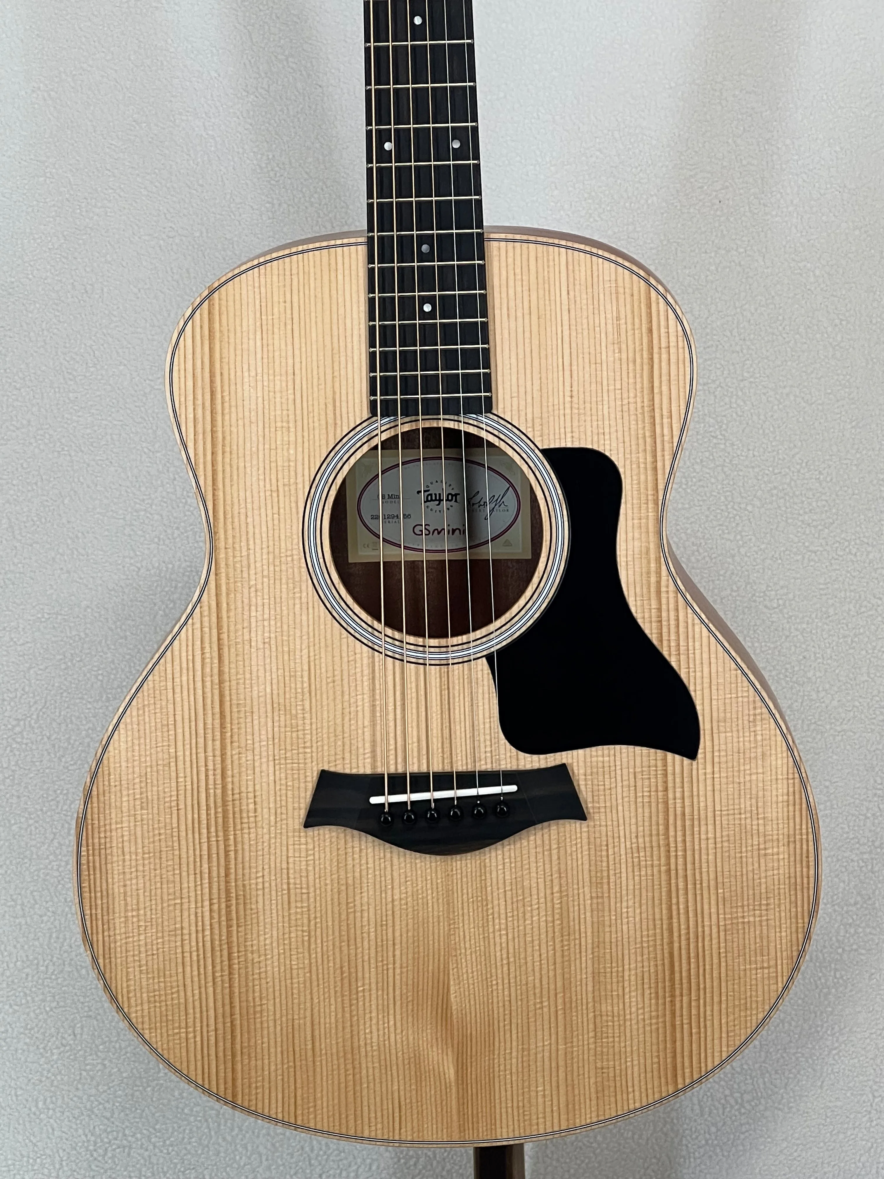 Taylor GS Mini Sapele SN:2201294156