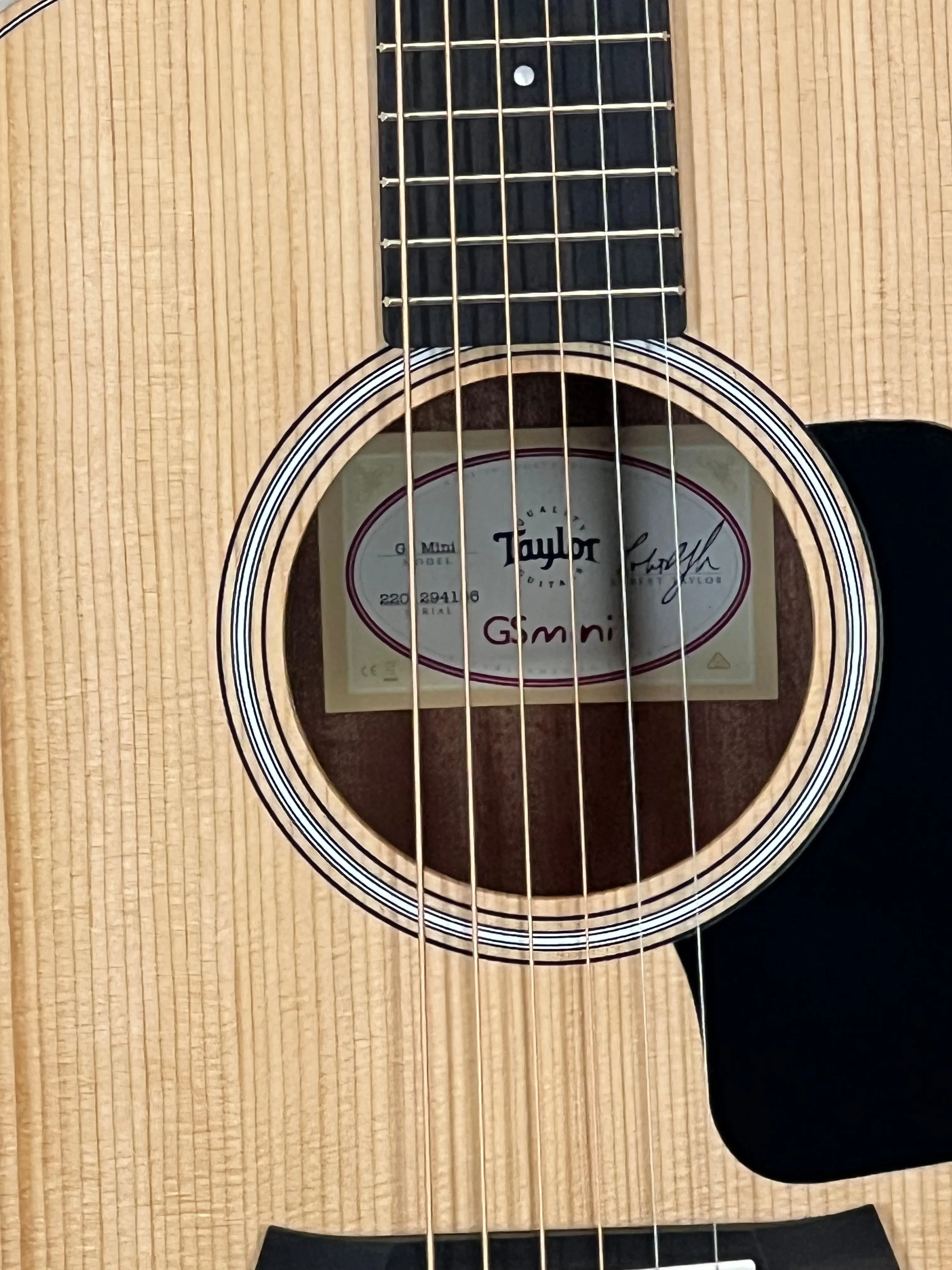 Taylor GS Mini Sapele SN:2201294156