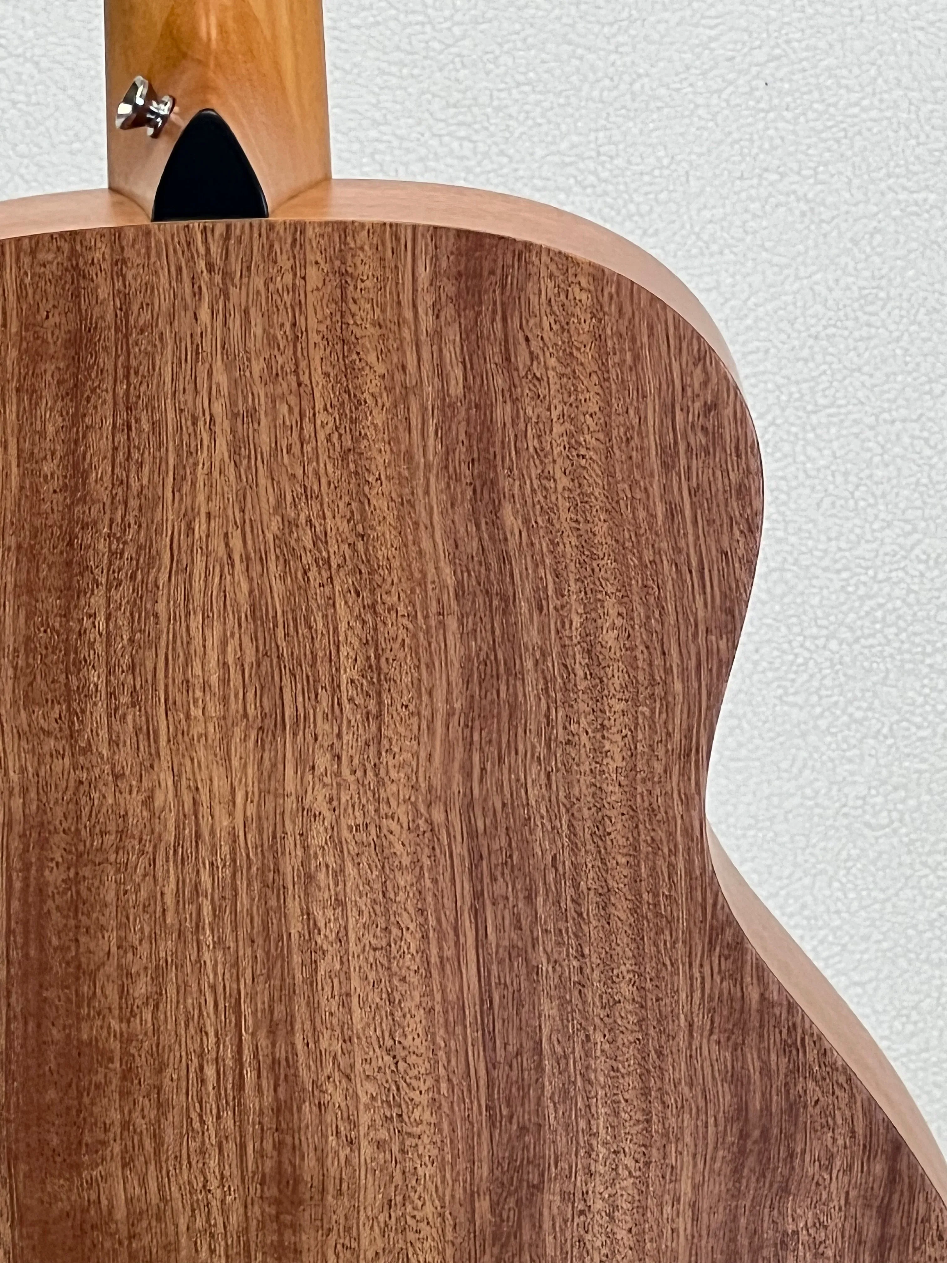 Taylor GS Mini Sapele SN:2204094197